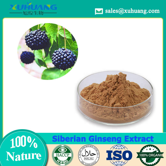 Sibirischer Ginseng-Extrakt