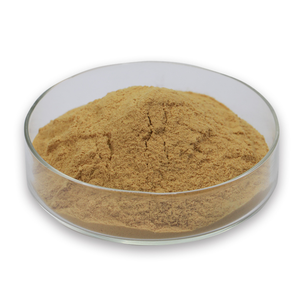 Hericium Erinaceus Pulver