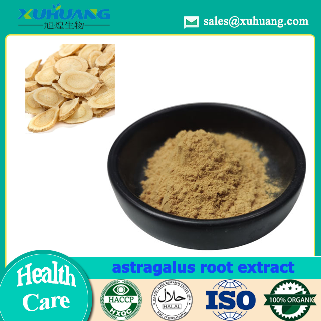 Astragalus -Wurzel -Extraktpulver