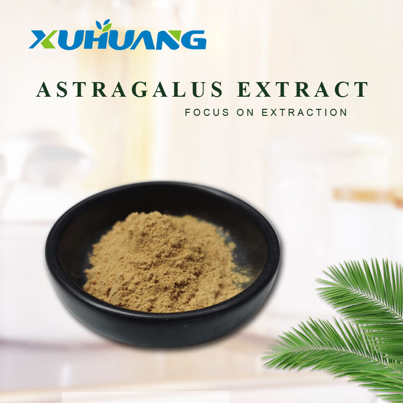Astragalus -Wurzel -Extraktpulver