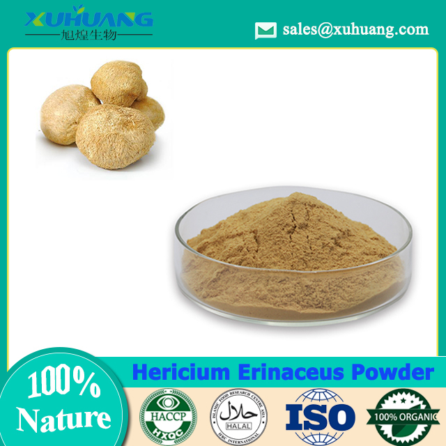 Hericium Erinaceus Pulver
