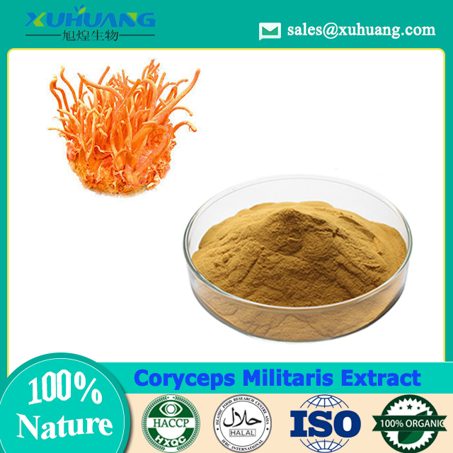 Cordyceps Militaris-Extrakt