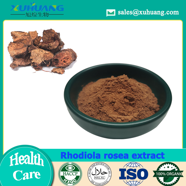 Rhodiola Rosea -Extraktpulver