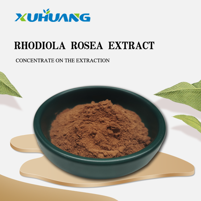 Rhodiola Rosea -Extraktpulver