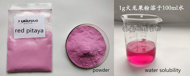 Rotes Pitaya-Pulver