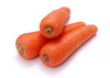 Karottenpulver
