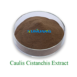Caulis Cistanchis-Extrakt