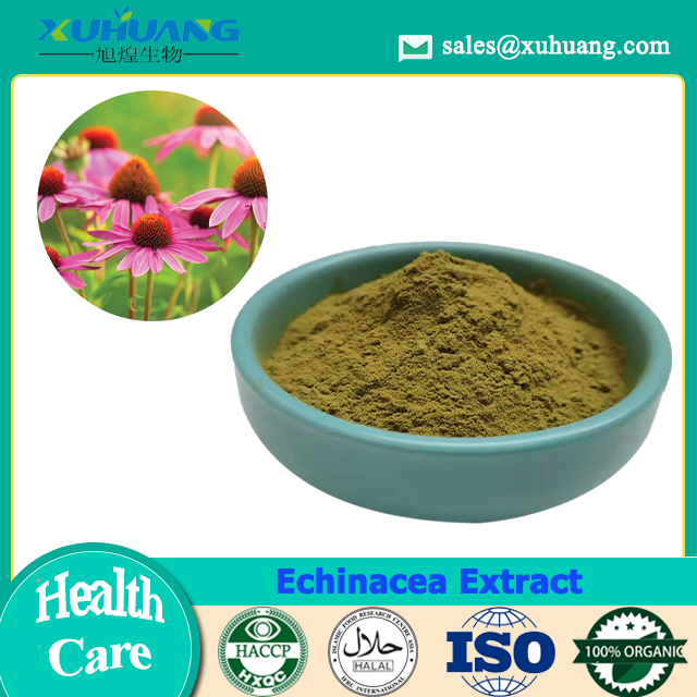 Echinacea purpurea Extraktpulver