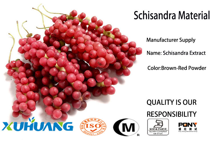 Schisandra Chinensis-Extrakt