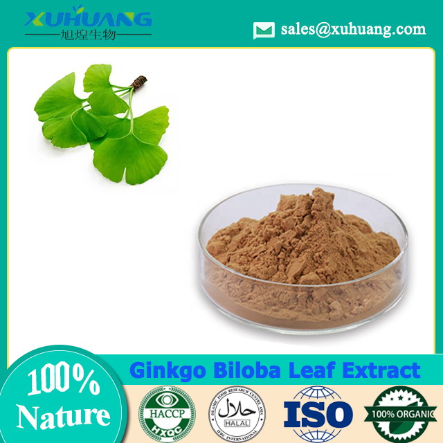 Ginkgo Biloba Blattextrakt